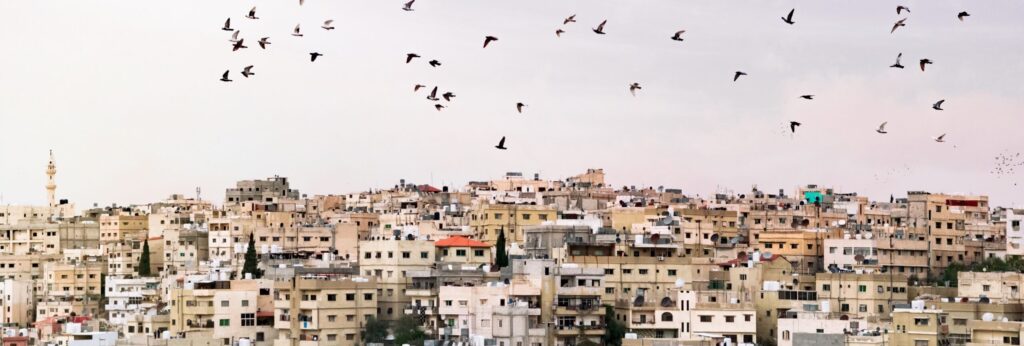 En bild på fåglar över Amman