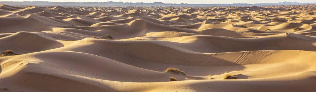 En bild på Saharaöknen