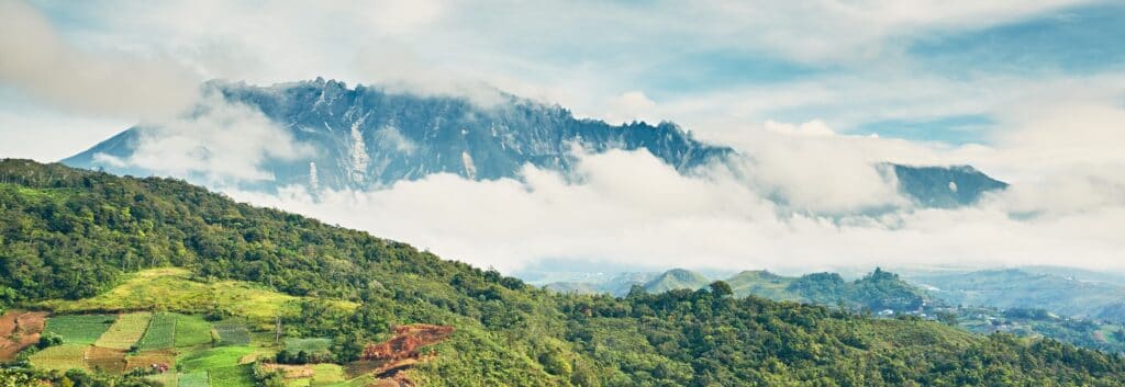 Resa till Malaysias regnskog med Kuala Lumpur och Langkawi