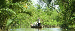 En bild på Mekongdeltat