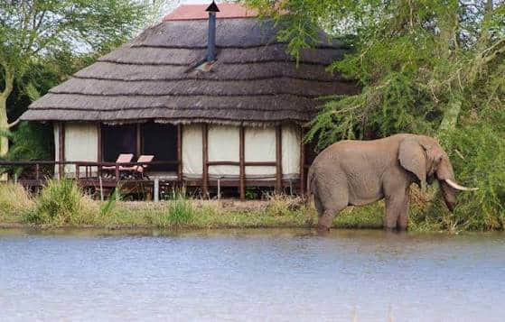 Shishangeni lodge Kruger National Park